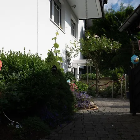 Kordes * Winterberg